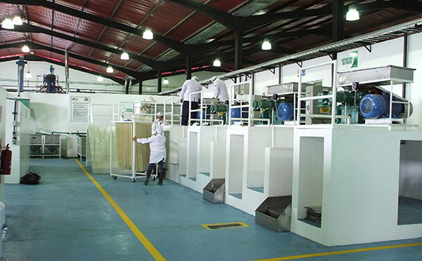 河源市草莓视频在线观看入口(chéng)米麵設備機械廠